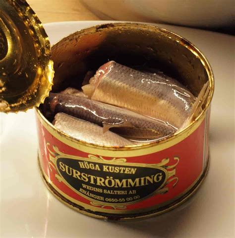 worlds smelliest fish in a can|Fermented smelly Swedish fish: Surströmming